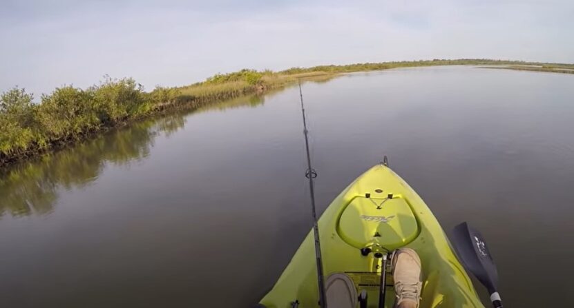 Pro Tips for Successful Fishing Near Palm Coast