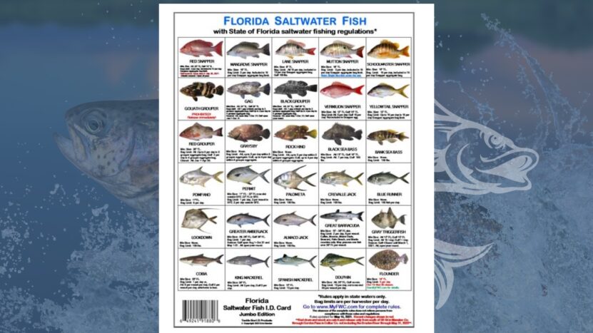 Florida Fishing Regulations