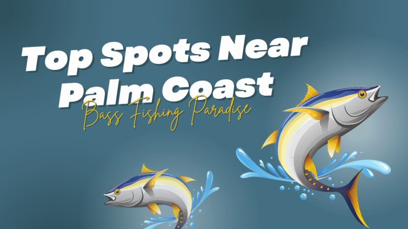 Top Fishing Spots Near Palm Coast